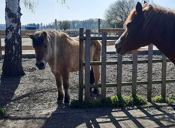 Bonni und Cirinka Bonni und Cirinka